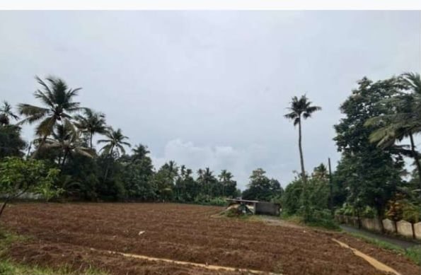 Residential Land for Sale in Near Nedubassery Airport, Aluva
