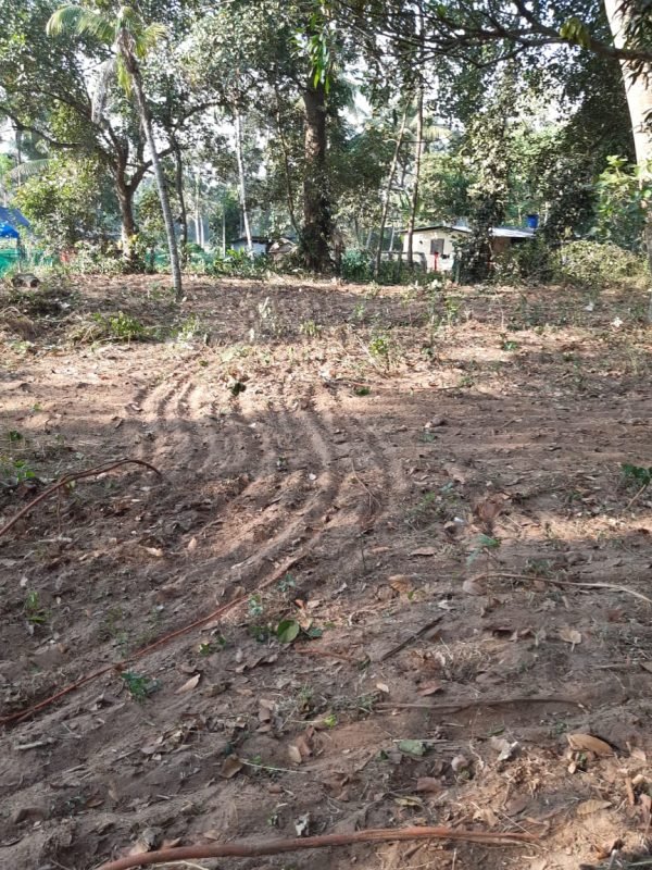 Residential Land for Sale in Kandiyoor, Mavelikkara, photo 4