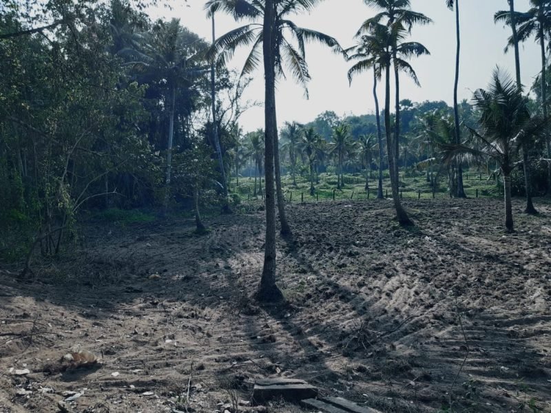 Residential Land for Sale in Kandiyoor, Mavelikkara