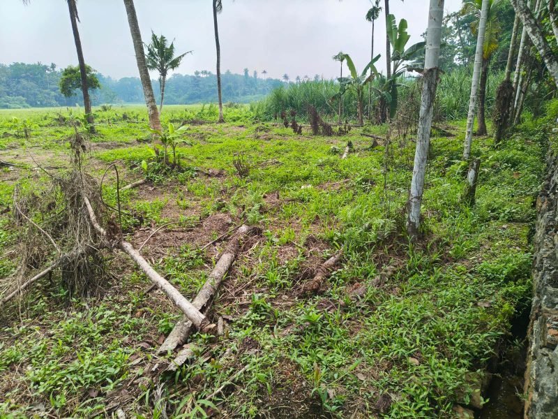 Residential Land for Sale in Marathu kavala, Perumbavoor, photo 1