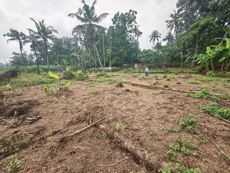 Residential Land for Sale in Marathu kavala, Perumbavoor, photo 3
