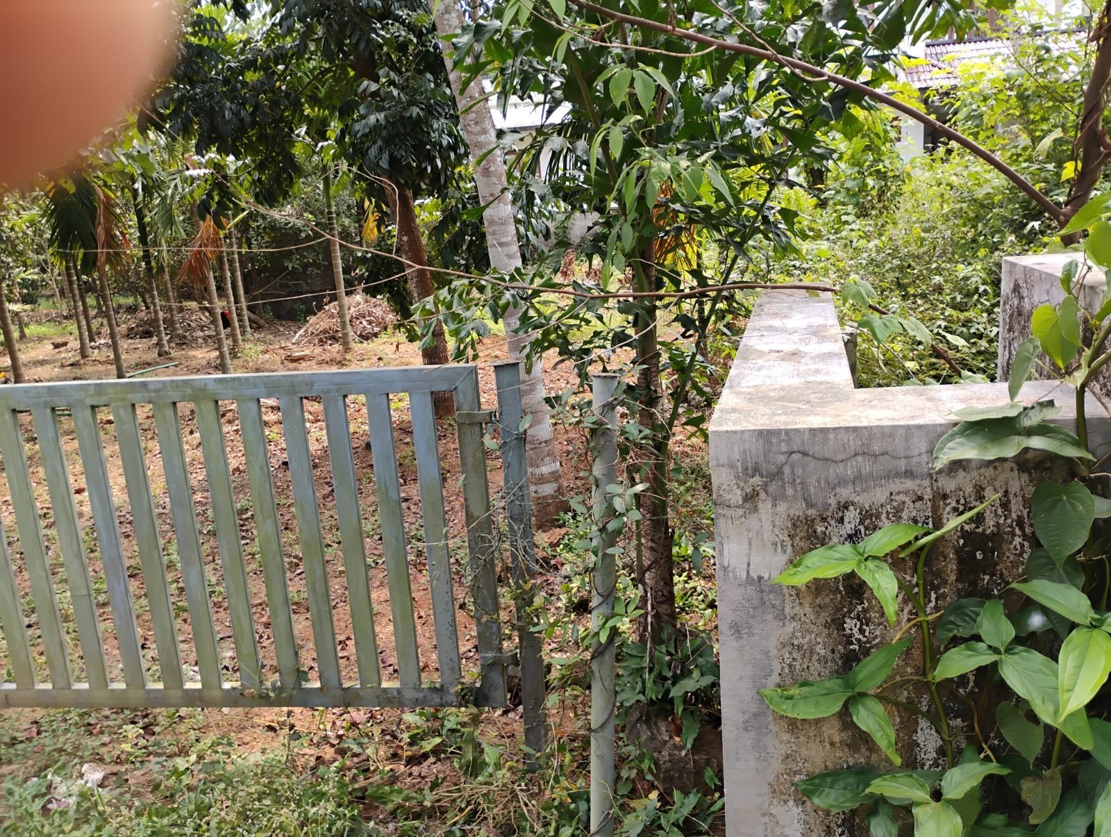 Residential Land for Sale in Iringole, Perumbavoor