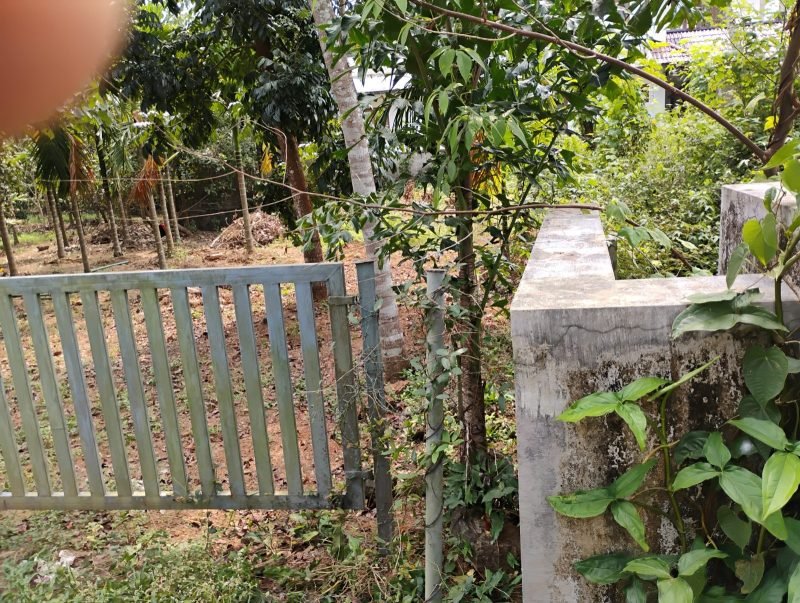 Residential Land for Sale in Iringole, Perumbavoor, photo 1