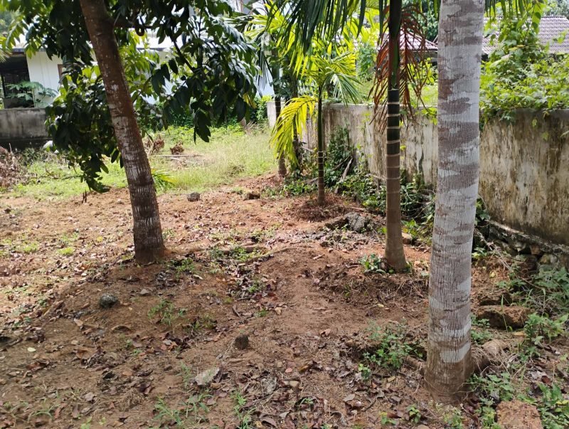 Residential Land for Sale in Iringole, Perumbavoor, photo 4