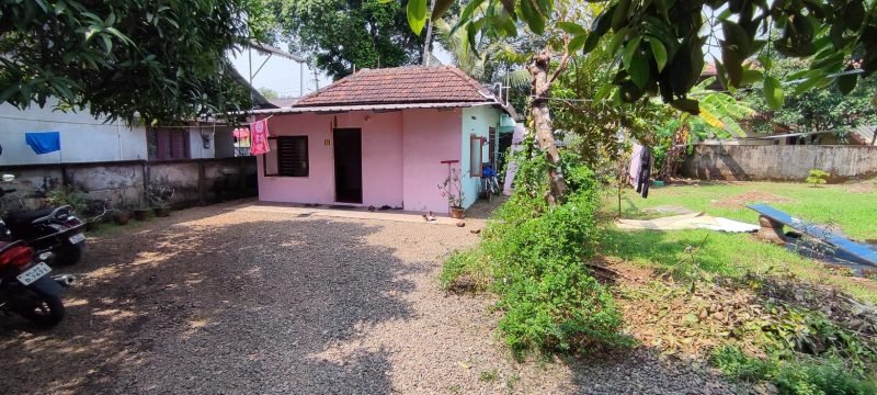 Commercial Plot for Sale in Near co operative society thekkenada, Haripad, photo 2