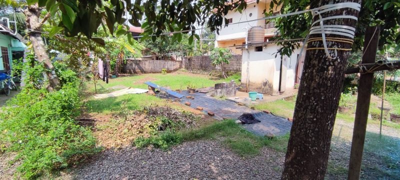 Commercial Plot for Sale in Near co operative society thekkenada, Haripad, photo 3