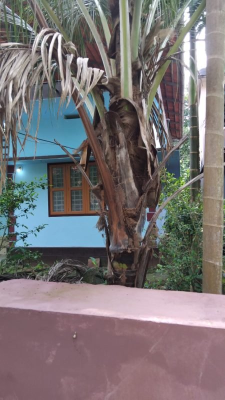 2 BHK Villa for Sale in Perinthalmanna, photo 2