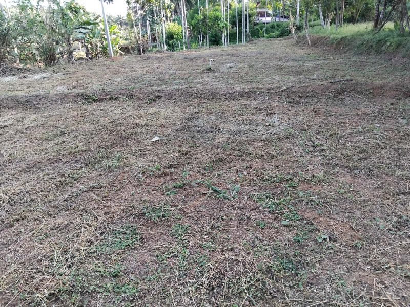 Residential Land for Sale in Aripra, Perinthalmanna, photo 2