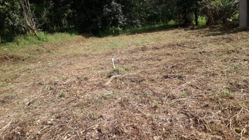 Residential Land for Sale in Aripra, Perinthalmanna, photo 3