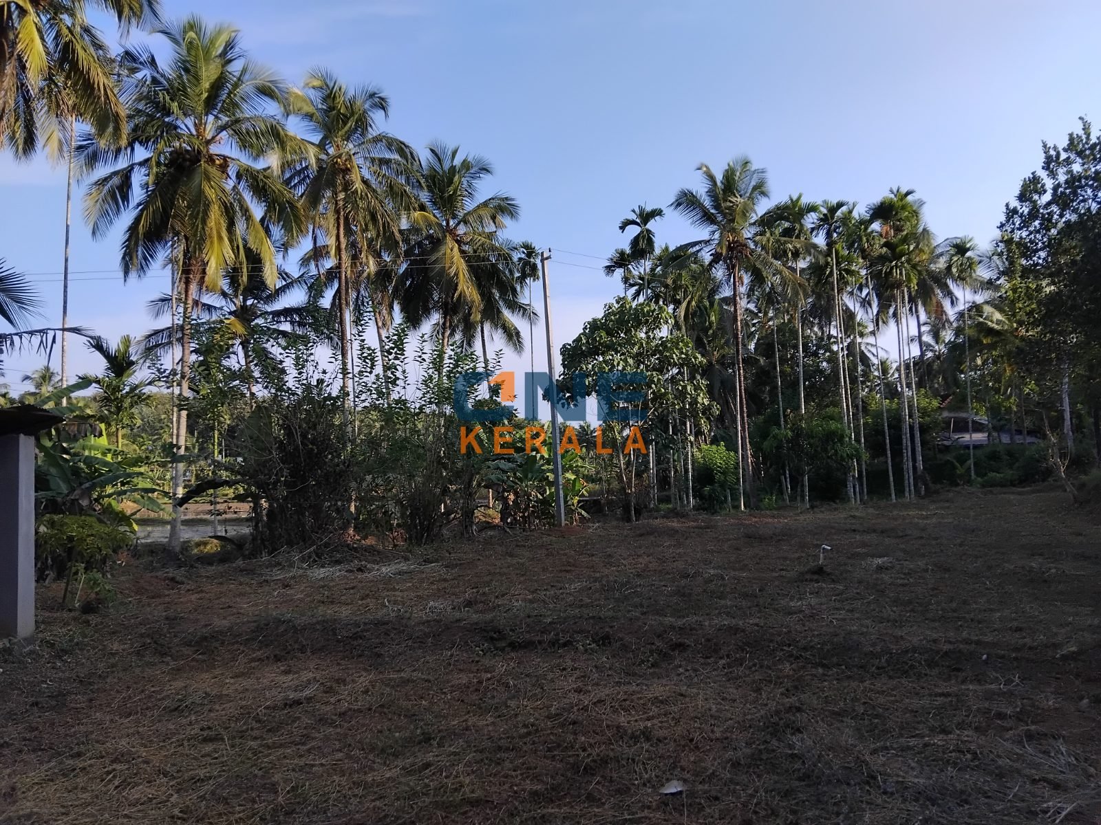 Residential Land for Sale in Aripra, Perinthalmanna